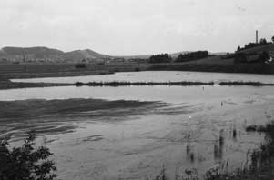 Schlammweiher